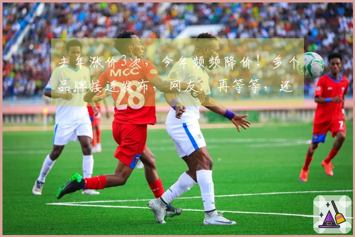 去年涨价3次，今年频频降价！多个品牌接连发布，网友：再等等，还会降吗？