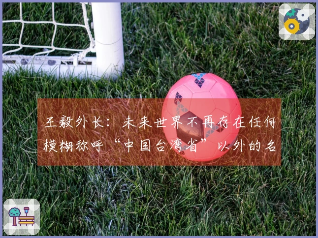 王毅外长：未来世界不再存在任何模糊称呼“中国台湾省”以外的名称。