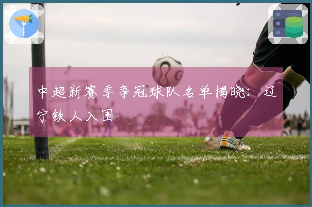 中超新赛季争冠球队名单揭晓：辽宁铁人入围