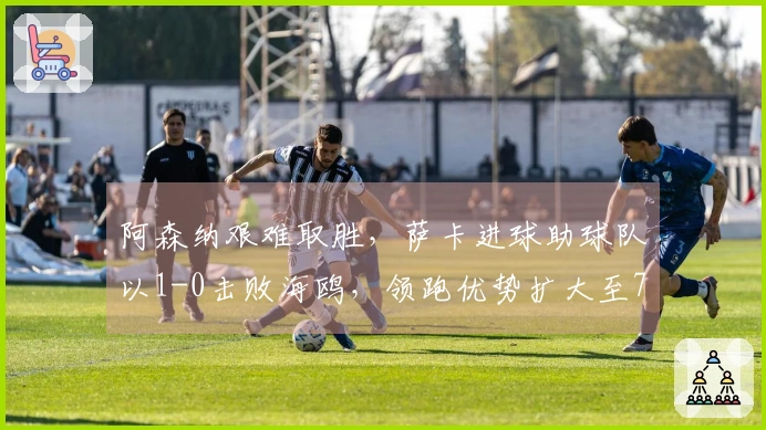 阿森纳艰难取胜，萨卡进球助球队以1-0击败海鸥，领跑优势扩大至7分，球迷喜悦。